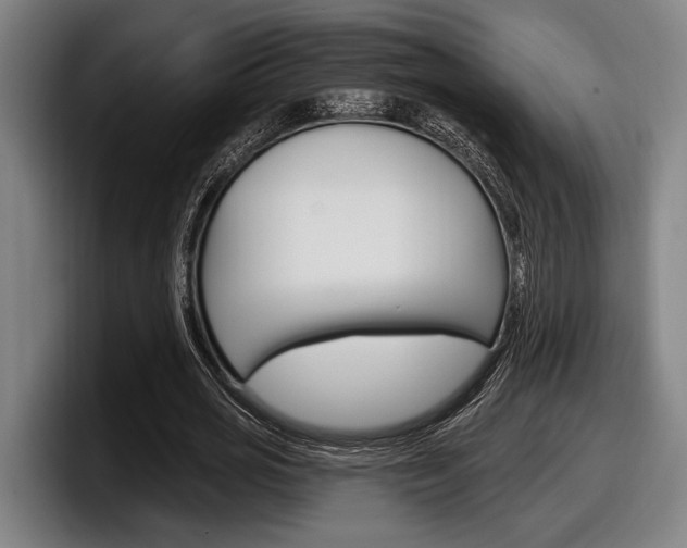 X0000098150725200804171156