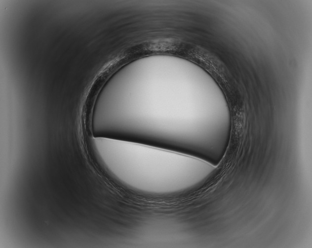 X0000098150727200804171156