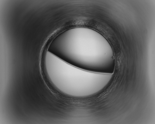 X0000098150728200804171156