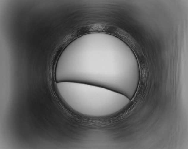 X0000098150729200804171156