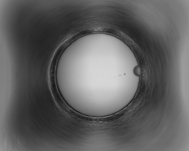 X0000098150730200804171156