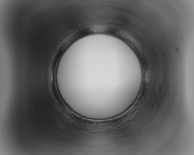 X0000098150733200804171156