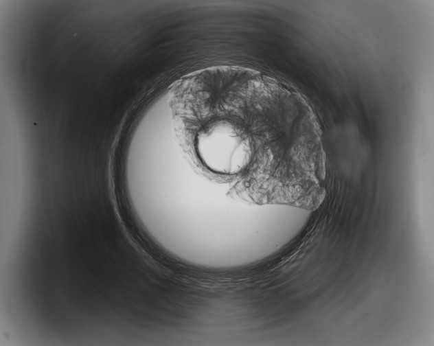 X0000098150734200804171156