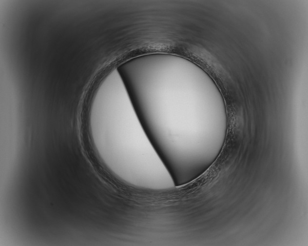 X0000098150736200804171156
