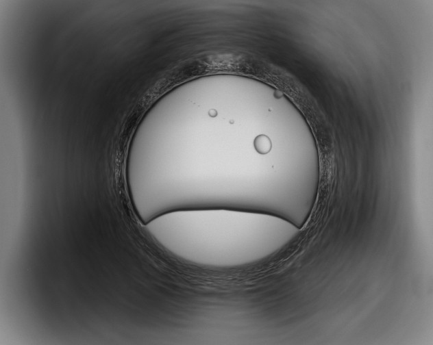 X0000098150737200804171156