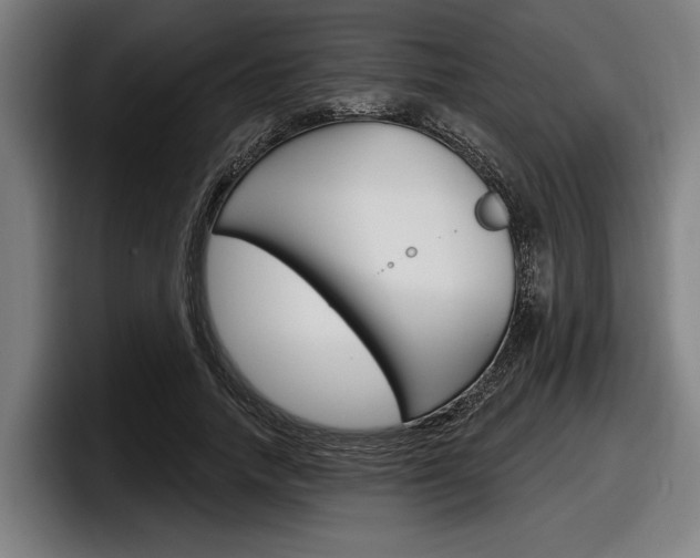 X0000098150738200804171156