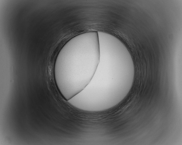 X0000098150739200804171156