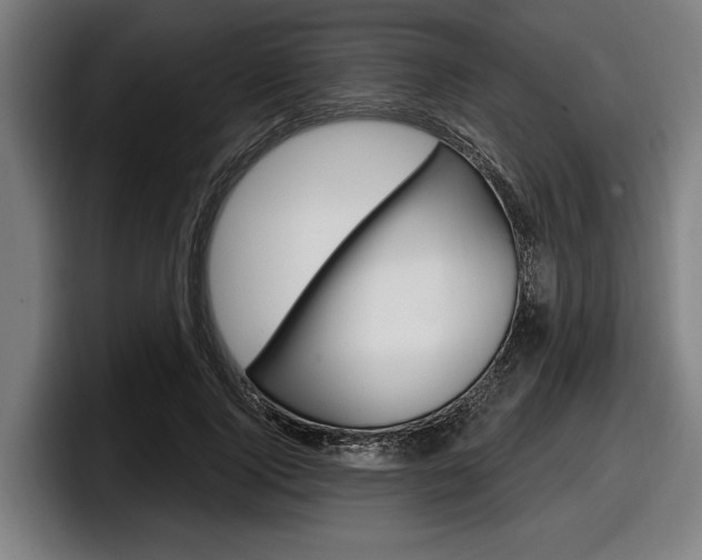 X0000098150740200804171156