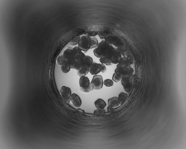 X0000098150741200804171156