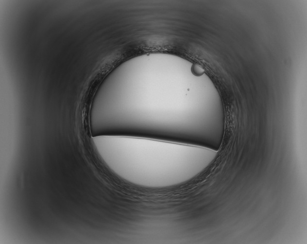 X0000098150742200804171156