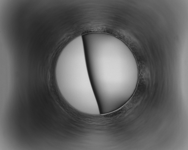 X0000098150744200804171156