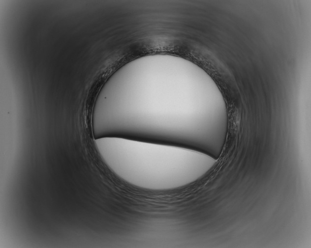 X0000098150746200804171156