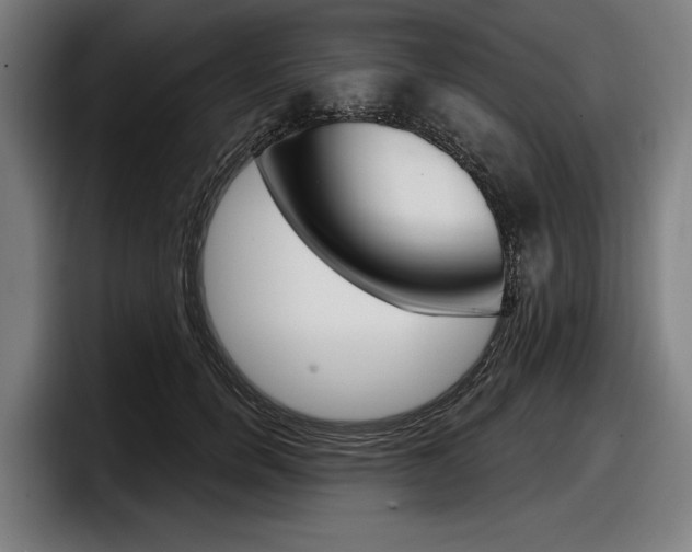 X0000098150750200804171156