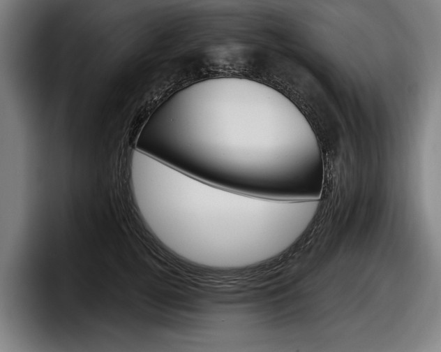 X0000098150752200804171156