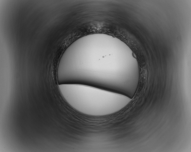 X0000098150754200804171156