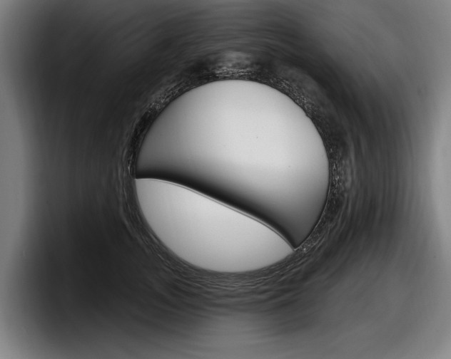 X0000098150755200804171156