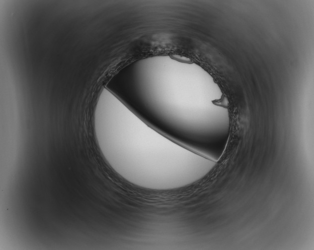 X0000098150756200804171156