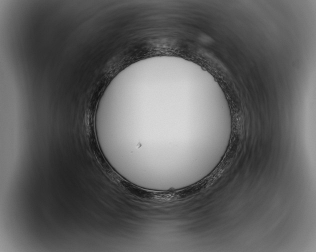 X0000098150757200804171156