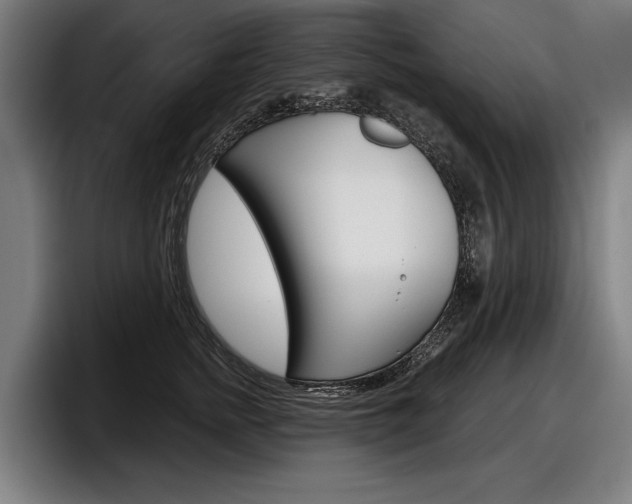 X0000098150758200804171156