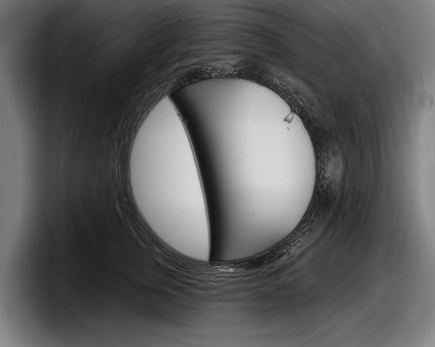 X0000098150759200804171156