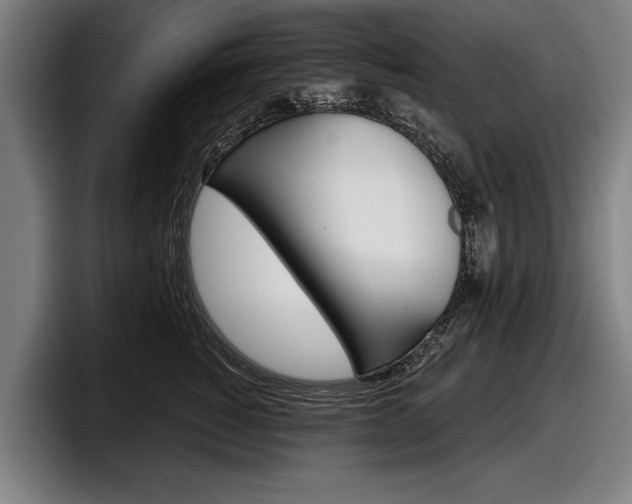 X0000098150760200804171156