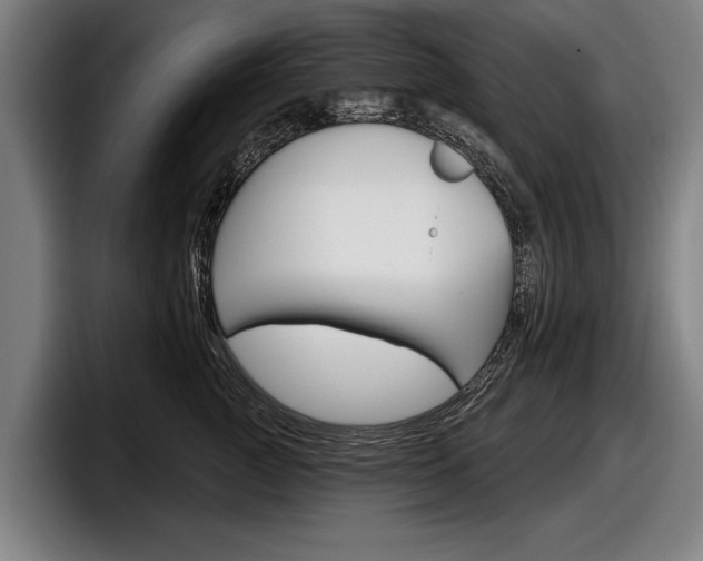 X0000098150761200804171156