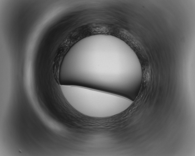 X0000098150764200804171156