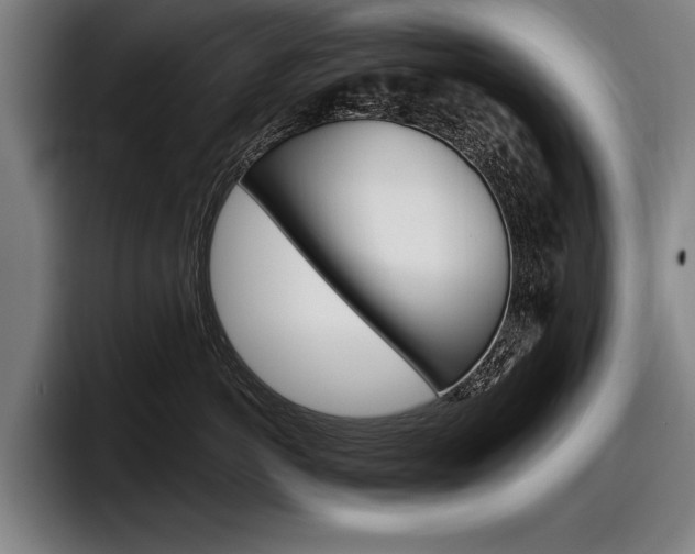 X0000098150766200804171156