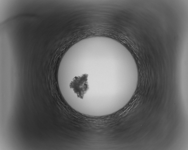X0000098150769200804171156