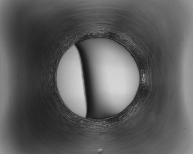 X0000098150771200804171156