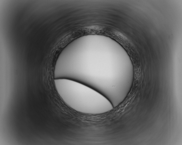 X0000098150774200804171156