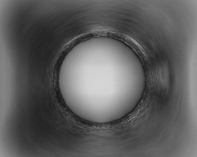 X0000098150775200804171156