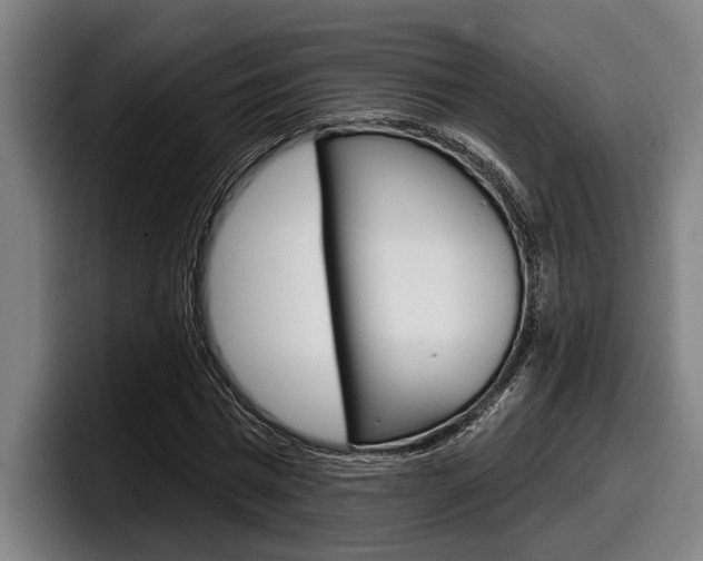 X0000098150777200804171156