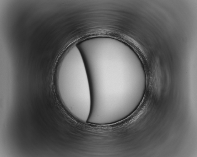 X0000098150778200804171156