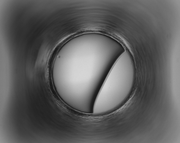 X0000098150779200804171156