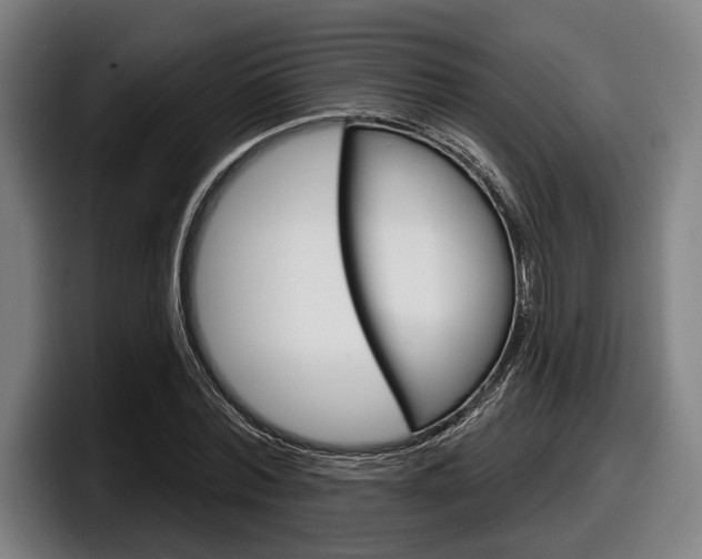 X0000098150780200804171156