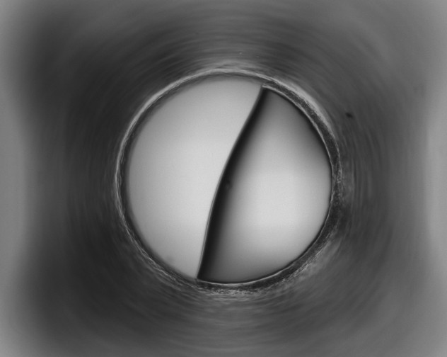 X0000098150783200804171156