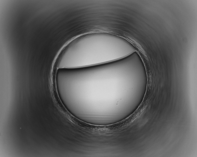 X0000098150784200804171156