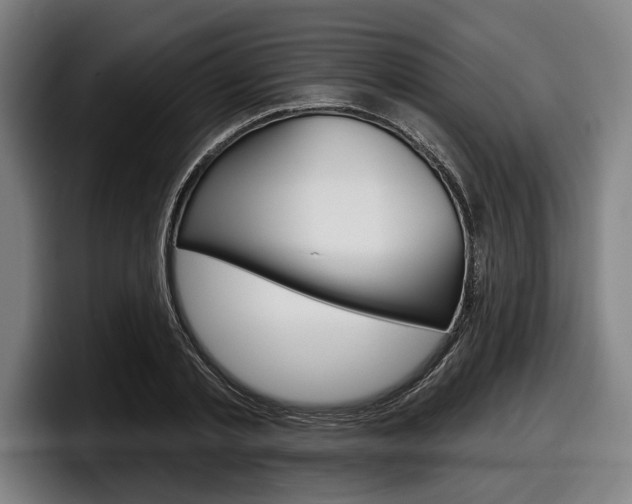 X0000098150789200804171155