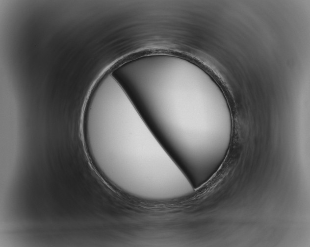 X0000098150791200804171155