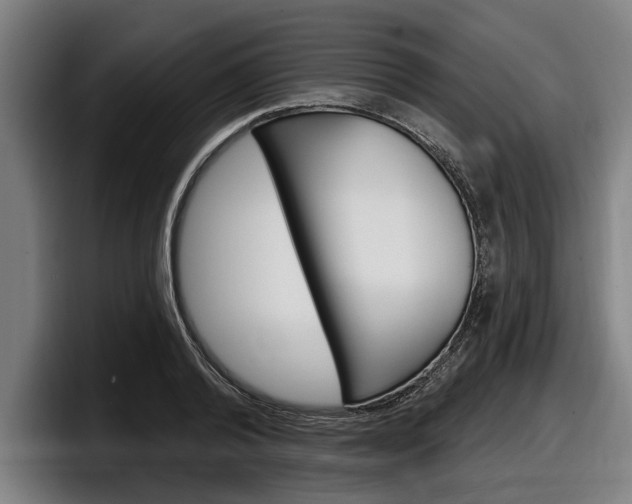 X0000098150792200804171155