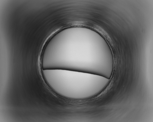 X0000098150798200804171155