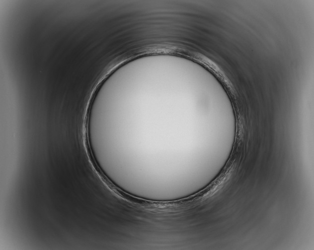 X0000098150802200804171155