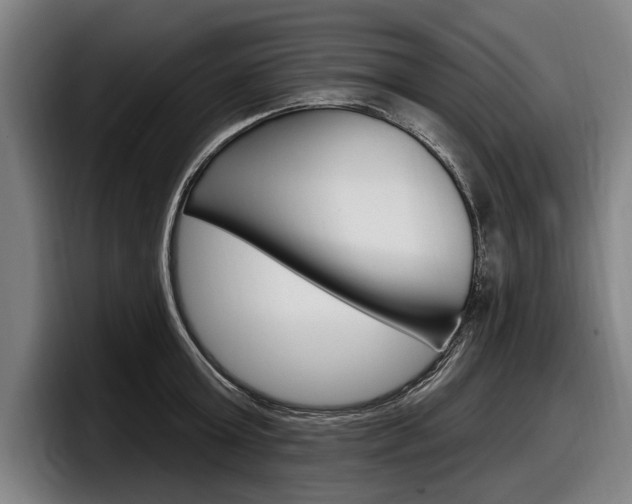 X0000098150803200804171155