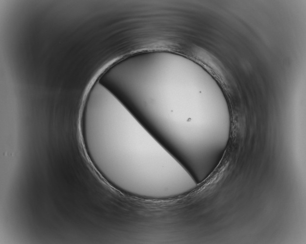 X0000098150804200804171155