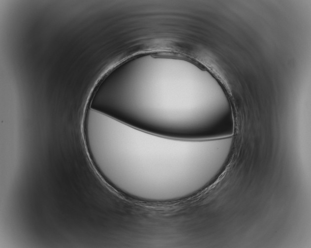X0000098150805200804171155