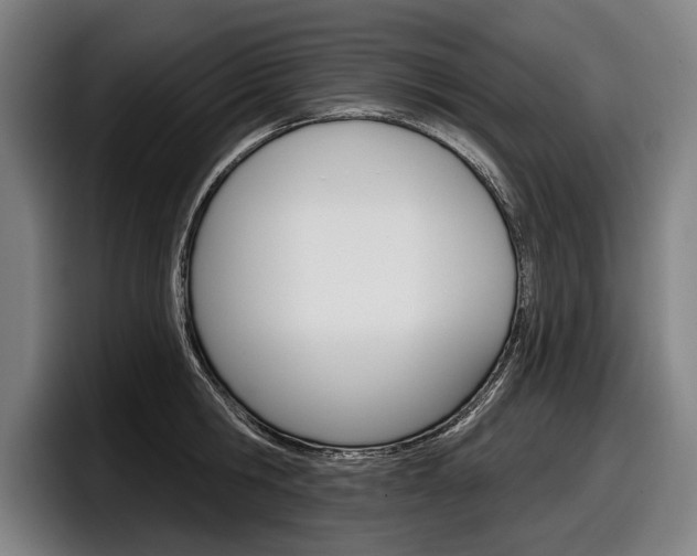 X0000098150806200804171155