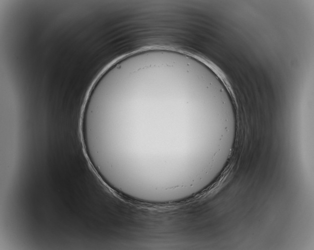 X0000098150807200804171155