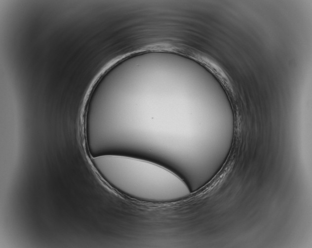 X0000098150808200804171155