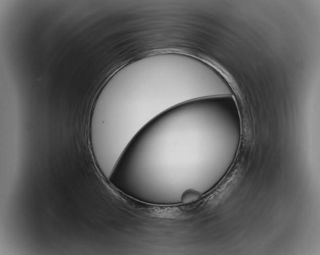 X0000098150809200804171155